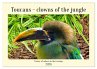Toucans - clowns of the jungle (Wall... - Bild 1