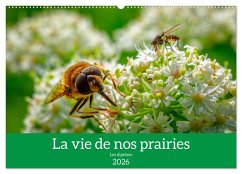La vie de nos prairies - Les diptères (Calendrier mural 2026 DIN A2 vertical), CALVENDO calendrier mensuel