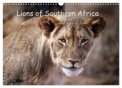 Lions of Southern Africa (Wall Calendar 2026 DIN A3 landscape), CALVENDO 12 Month Wall Calendar Lions of Southern Africa (Wall Calendar 2026 DIN A3 landscape), CALVENDO 12 Month Wall Calendar