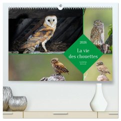 La vie des chouettes, les dames de la nuit (Calendrier mural 2026 DIN A2 vertical) calendrier de bureau