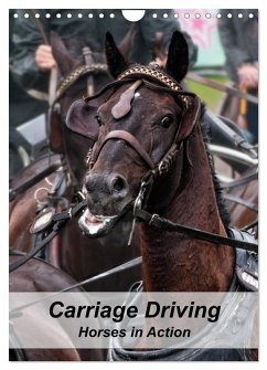 Cover Carriage Driving - Horses in Action (Wall Calendar 2026 DIN A4 portrait), CALVENDO 12 Month Wall Calendar
