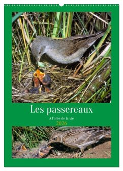 Les passereaux à l'orée de la vie (Calendrier mural 2026 DIN A2 horizontal), CALVENDO calendrier mensuel