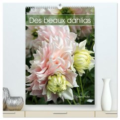 Des beaux dahlias (Calendrier mural 2026 DIN A2 horizontal) calendrier de bureau