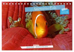 Cover Anemonefish - always busy - always on the move (Desk Calendar 2026 DIN A5 landscape), CALVENDO 12 Month DeskCalendar