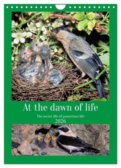 At the dawn of life the secret life of passerines (Wall Calendar 2026 DIN A4 portrait), CALVENDO 12 Month Wall Calendar