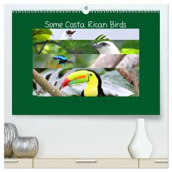 Some Costa Rican Birds (High Quality Premium Wall Calendar 2026 DIN A2 landscape),CALVENDO 12 Month Wall Calendar
