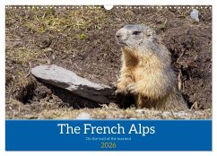 The French Alps, on the trail of the marmot (Wall Calendar 2026 DIN A3 landscape), CALVENDO 12 Month Wall Calendar