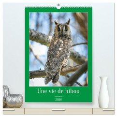 Une vie de hibou les oiseaux (Calendrier mural 2026 DIN A2 horizontal) calendrier de bureau