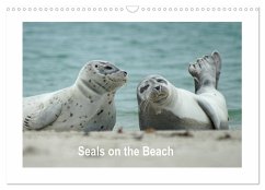 Seals on the Beach (Wall Calendar 2026 DIN A3 landscape), CALVENDO 12 Month Wall Calendar Seals on the Beach (Wall Calendar 2026 DIN A3 landscape), CALVENDO 12 Month Wall Calendar