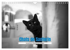 Chats de Santorin - Les princes d'Oia en noir et blanc (Calendrier mural 2026 DIN A4 vertical), CALVENDO calendrier mensuel