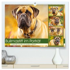 Bullmastiff im Porträt. Kraftvolle Hunde mit sanftem Wesen (hochwertiger Premium Wandkalender 2026 DIN A2 quer), Kunstdruck in Hochglanz Bullmastiff im Porträt. Kraftvolle Hunde mit sanftem Wesen (hochwertiger Premium Wandkalender 2026 DIN A2 quer), Kunstdruck in Hochglanz