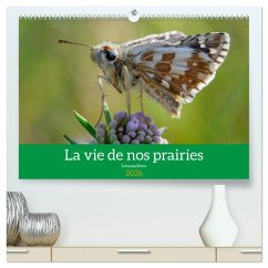 La vie de nos prairie, les papillons (Calendrier mural 2026 DIN A2 vertical) calendrier de bureau