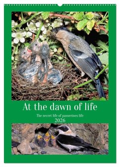 At the dawn of life the secret life of passerines (Wall Calendar 2026 DIN A2 portrait), CALVENDO 12 Month Wall Calendar