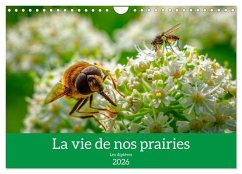 La vie de nos prairies - Les diptères (Calendrier mural 2026 DIN A4 vertical), CALVENDO calendrier mensuel