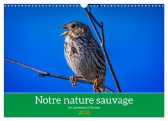 Notre nature sauvage, les passereaux d'Europe (Calendrier mural 2026 DIN A3 vertical), CALVENDO calendrier mensuel Notre nature sauvage, les passereaux d'Europe (Calendrier mural 2026 DIN A3 vertical), CALVENDO calendrier mensuel