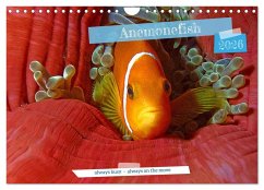 Cover Anemonefish - always busy - always on the move (Wall Calendar 2026 DIN A4 landscape), CALVENDO 12 Month Wall Calendar
