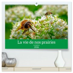 La vie de nos prairies - Les diptères (Calendrier mural 2026 DIN A2 vertical) calendrier de bureau