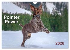 Pointer Power (Wall Calendar 2026 DIN A4 landscape), CALVENDO 12 Month Wall Calendar Pointer Power (Wall Calendar 2026 DIN A4 landscape), CALVENDO 12 Month Wall Calendar