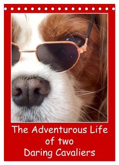 The Adventurous Life of two Daring Cavaliers (Desk Calendar 2026 DIN A5 portrait), CALVENDO 12 Month DeskCalendar