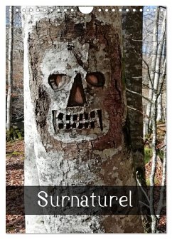 Cover Surnaturel (Calendrier mural 2026 DIN A4 horizontal), CALVENDO calendrier mensuel