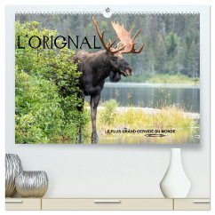 Cover L'ORIGNAL, LE PLUS GRAND CERVIDÉ DU MONDE (Calendrier mural 2026 DIN A2 vertical) calendrier de bureau