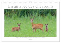 Cover Un an avec des chevreuils (Calendrier mural 2026 DIN A3 vertical), CALVENDO calendrier mensuel