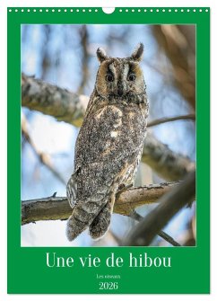 Une vie de hibou les oiseaux (Calendrier mural 2026 DIN A3 horizontal), CALVENDO calendrier mensuel Une vie de hibou les oiseaux (Calendrier mural 2026 DIN A3 horizontal), CALVENDO calendrier mensuel