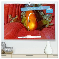 Cover Anemonefish - always busy - always on the move (High Quality Premium Wall Calendar 2026 DIN A2 landscape),CALVENDO 12 Month Wall Calendar
