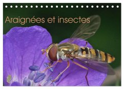 Cover Araignées et insectes (Calendrier de bureau 2026 DIN A5 vertical), CALVENDO calendrier mensuel