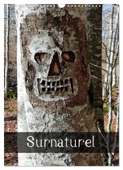 Cover Surnaturel (Calendrier mural 2026 DIN A3 horizontal), CALVENDO calendrier mensuel