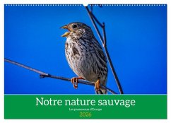 Notre nature sauvage, les passereaux d'Europe (Calendrier mural 2026 DIN A2 vertical), CALVENDO calendrier mensuel Notre nature sauvage, les passereaux d'Europe (Calendrier mural 2026 DIN A2 vertical), CALVENDO calendrier mensuel