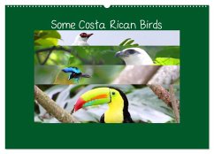Some Costa Rican Birds (Wall Calendar 2026 DIN A2 landscape), CALVENDO 12 Month Wall Calendar