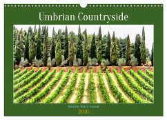 Cover Umbrian Countryside (Wall Calendar 2026 DIN A3 landscape), CALVENDO 12 Month Wall Calendar