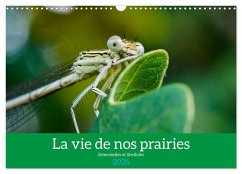 La vie de nos prairies - Demoiselles et libellules (Calendrier mural 2026 DIN A3 vertical), CALVENDO calendrier mensuel La vie de nos prairies - Demoiselles et libellules (Calendrier mural 2026 DIN A3 vertical), CALVENDO calendrier mensuel