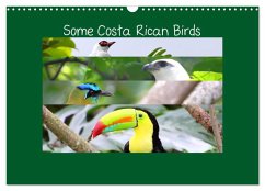 Some Costa Rican Birds (Wall Calendar 2026 DIN A3 landscape), CALVENDO 12 Month Wall Calendar