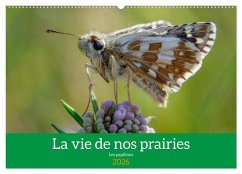 La vie de nos prairie, les papillons (Calendrier mural 2026 DIN A2 vertical), CALVENDO calendrier mensuel La vie de nos prairie, les papillons (Calendrier mural 2026 DIN A2 vertical), CALVENDO calendrier mensuel