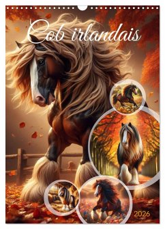 Cob irlandais (Calendrier mural 2026 DIN A3 horizontal), CALVENDO calendrier mensuel Cob irlandais (Calendrier mural 2026 DIN A3 horizontal), CALVENDO calendrier mensuel