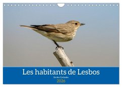 Les habitants de Lesbos Ile des cyclades (Calendrier mural 2026 DIN A4 vertical), CALVENDO calendrier mensuel Les habitants de Lesbos Ile des cyclades (Calendrier mural 2026 DIN A4 vertical), CALVENDO calendrier mensuel