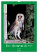 Une chouette de vie, les oiseaux... - Bild 1