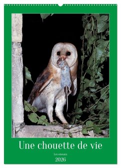 Une chouette de vie, les oiseaux (Calendrier mural 2026 DIN A2 horizontal), CALVENDO calendrier mensuel Une chouette de vie, les oiseaux (Calendrier mural 2026 DIN A2 horizontal), CALVENDO calendrier mensuel