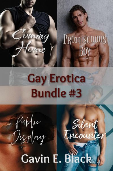 Gay Erotica Bundle #3 (eBook, ePUB)