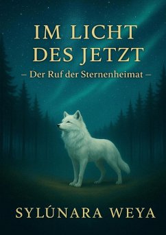 Im Licht des Jetzt - Der Ruf der Sternenheimat (eBook, ePUB)