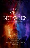 The Veil Between (The Fire Within, #1) (eBook, ePUB)