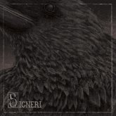 Signeri Signeri