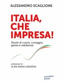 Italia, che impresa! (eBook, ePUB)