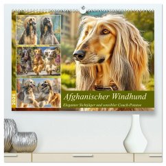 Afghanischer Windhund. Eleganter Sichtjäger und sensibler Couch-Potatoe (hochwertiger Premium Wandkalender 2026 DIN A2 quer), Kunstdruck in Hochglanz