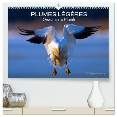 Cover PLUMES LÉGÈRES. Oiseaux du Monde (Calendrier mural 2026 DIN A2 vertical) calendrier de bureau