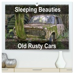 Cover Sleeping Beauties Old Rusty Cars (High Quality Premium Wall Calendar 2026 DIN A2 landscape),CALVENDO 12 Month Wall Calendar