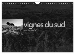 Cover VIGNES DU SUD terroirs d'AOC (Calendrier mural 2026 DIN A4 vertical), CALVENDO calendrier mensuel
