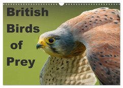 British Birds of Prey (Wall Calendar 2026 DIN A3 landscape), CALVENDO 12 Month Wall Calendar Cover British Birds of Prey (Wall Calendar 2026 DIN A3 landscape), CALVENDO 12 Month Wall Calendar
